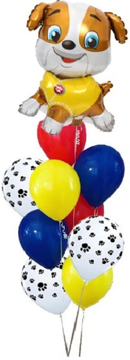 Paw Patrol Ballonnen Set | 10 stuks | Rubble | Kinderfeestjes | Thema Feest | Dierendag